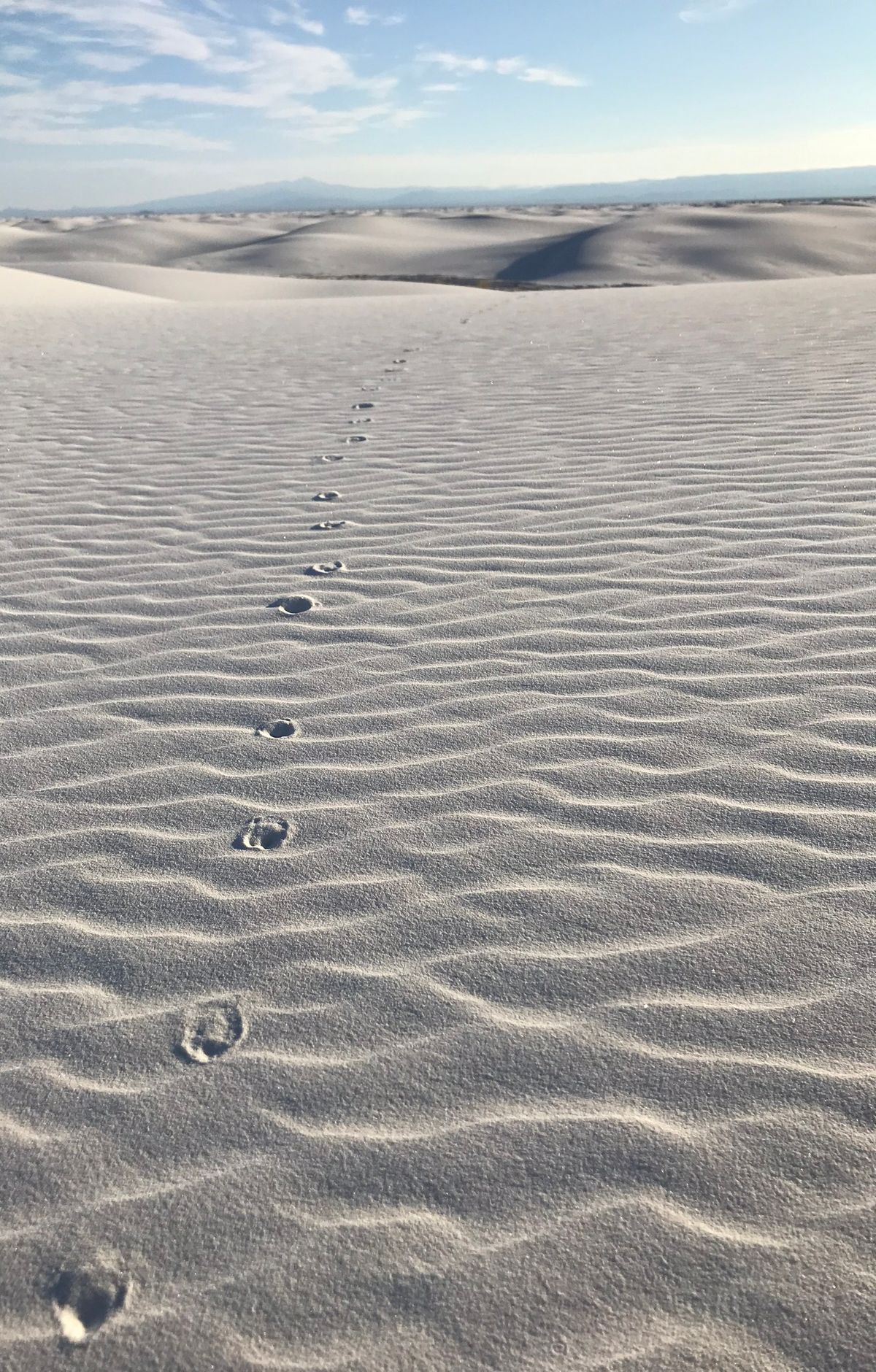 Backcountry Camping Trail, White Sands National Park