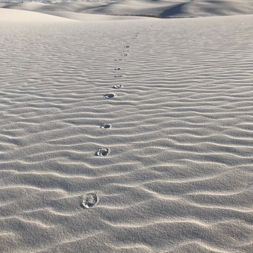 Backcountry Camping Trail