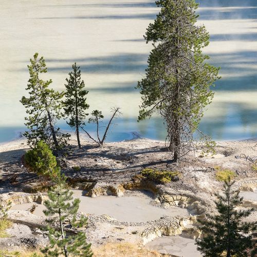 Terminal Geyser Trail