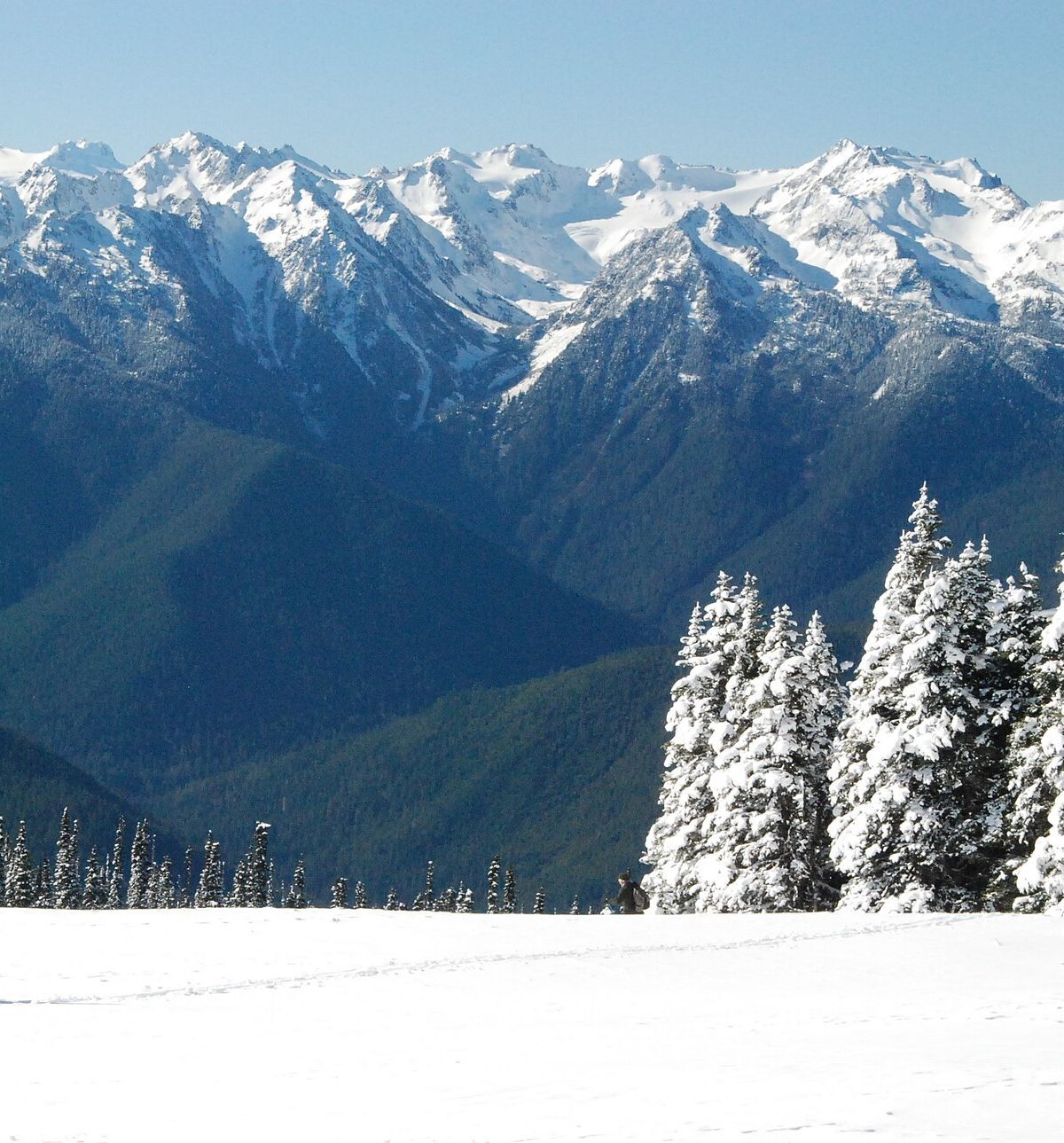 Winter Snow Play at Hurricane Ridge, Olympic National Park