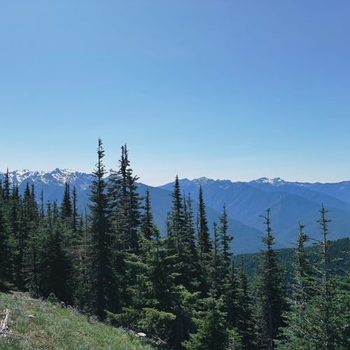 Viewpoint