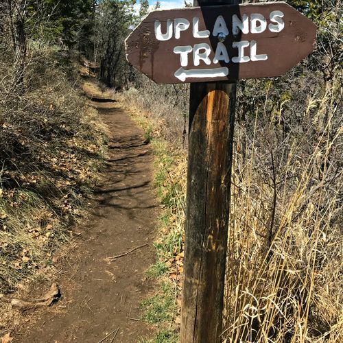 Uplands Trail