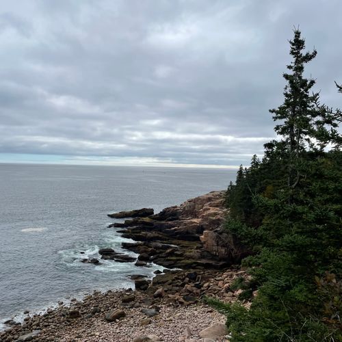 Viewpoint