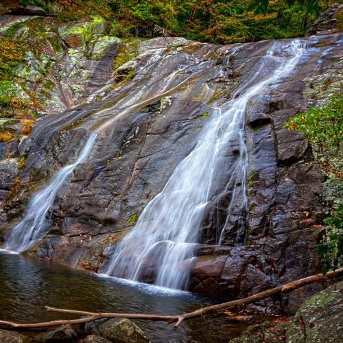 White Oak - Cedar Run Loop