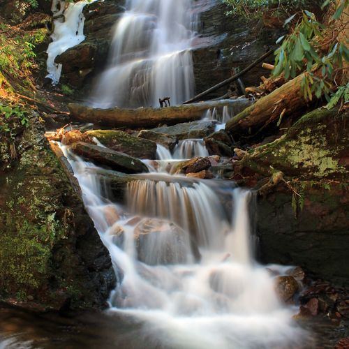 Flat Creek Trail