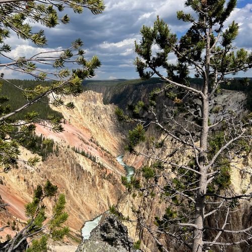 Viewpoint