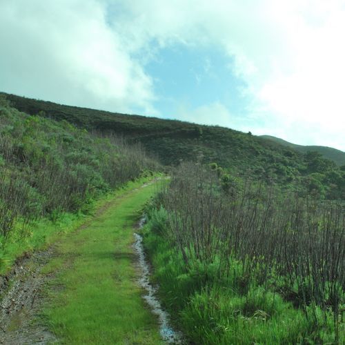 Torrey Pines Trail