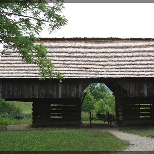 Gregory Bald Trail