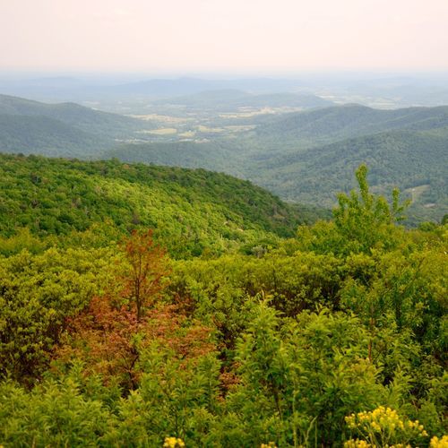 Beahms Gap Overlook