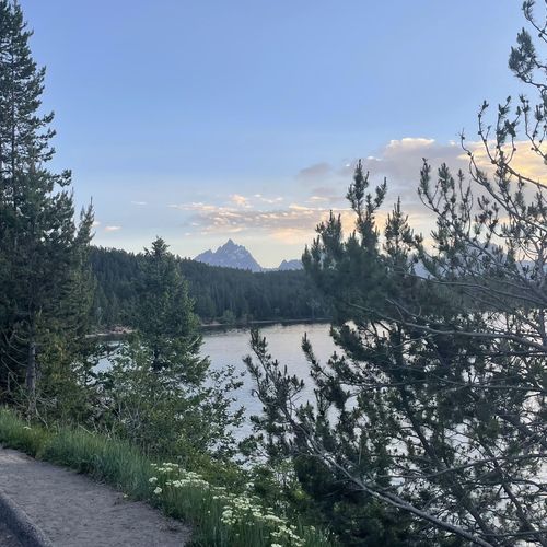 Jackson Lake Viewpoint