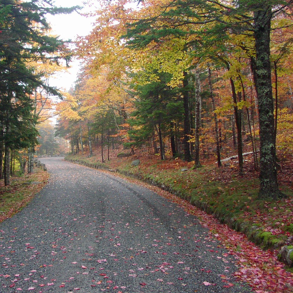 Rockefeller's Carriage Roads and Stone Bridges, Acadia National Park