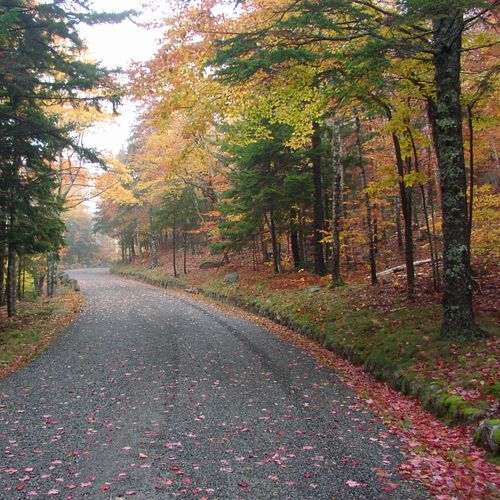 Carriage Road