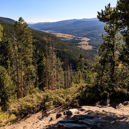 Viewpoint