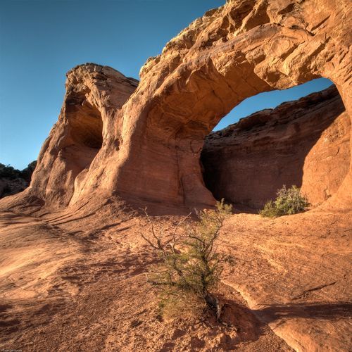 Tapestry Arch