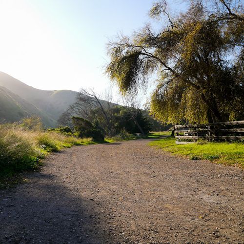 Elephant Seal Cove Trail