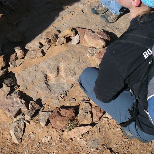 Dinosaur Footprint