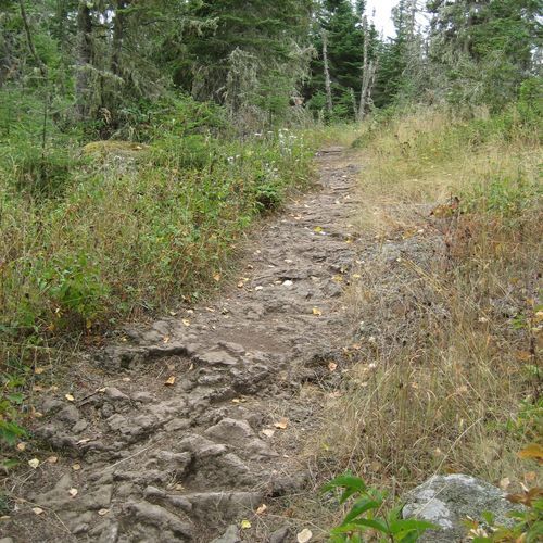 Lake Richie Trail