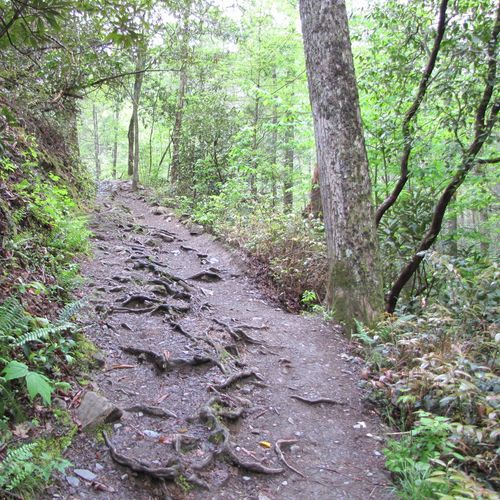Ace Gap Trail