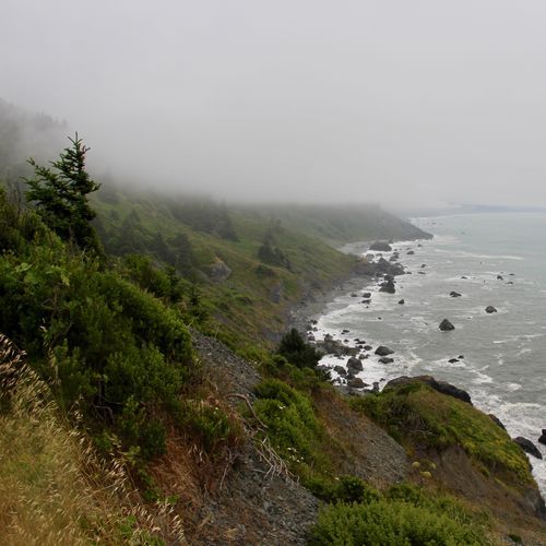 Viewpoint