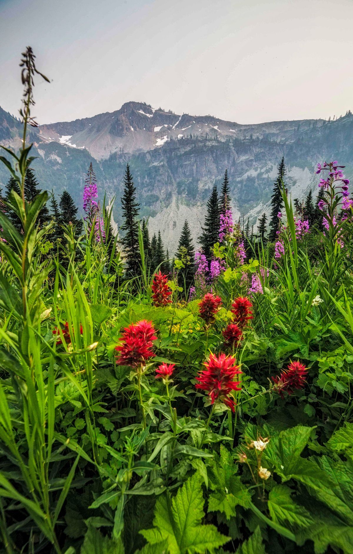 Maple Pass Loop Trail, North Cascades National Park
