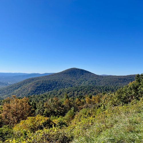 Doyles River Lookout