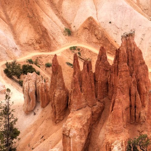 Rim Trail