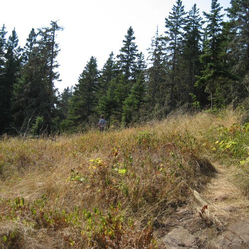 Tobin Harbor Cut off Trail
