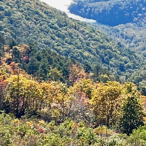 Moormans River Overlook