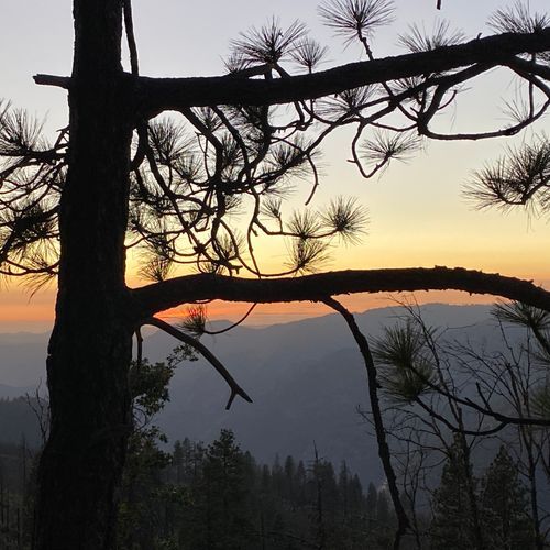 Viewpoint