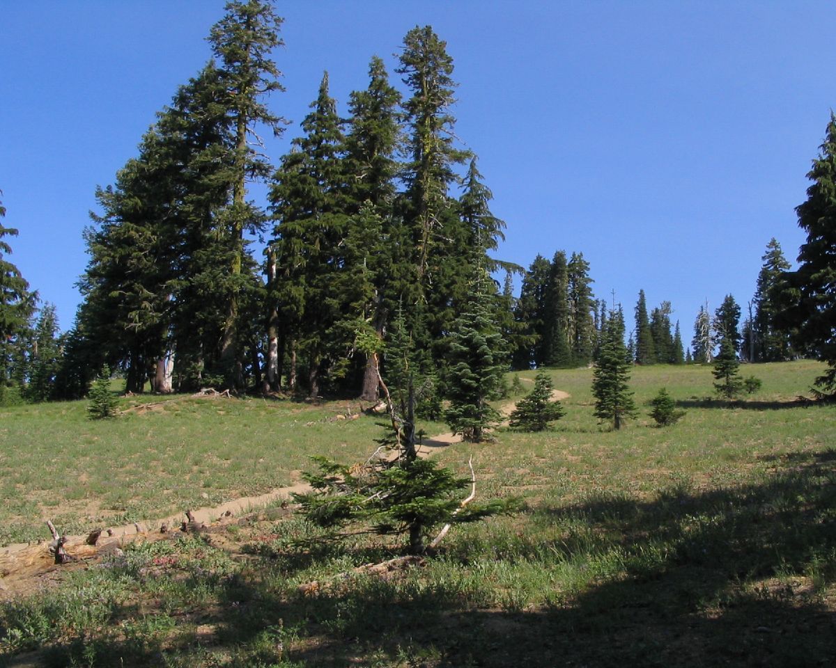 Mount Scott Trail, Crater Lake National Park