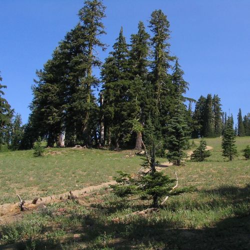Mount Scott Trail