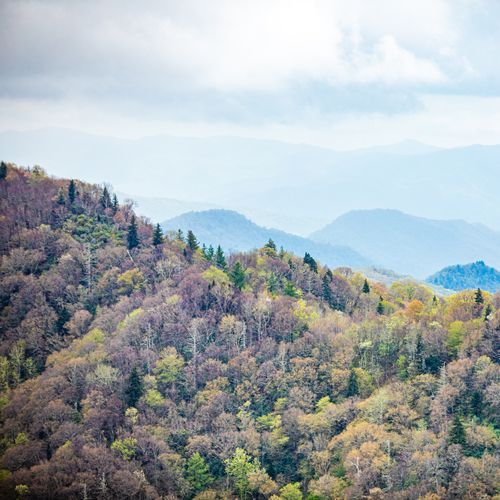 Deep Creek Valley Overlook #1