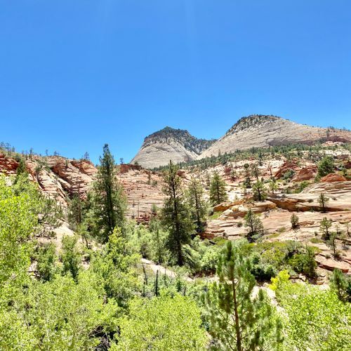 Checkerboard Mesa