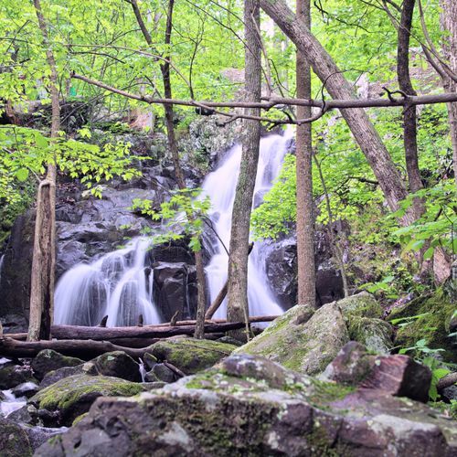 Elkwallow Trail