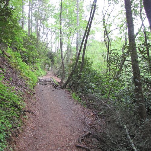 Twentymile Trail