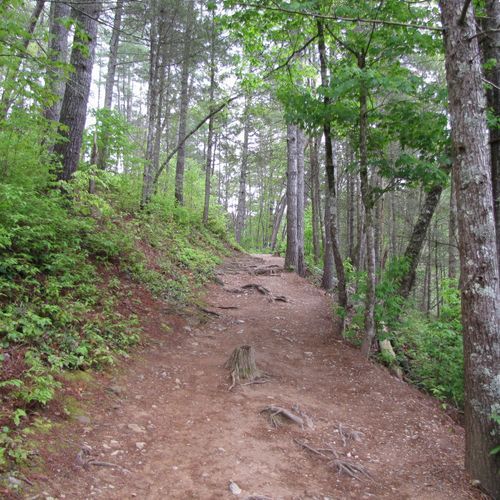 Hazel Creek Trail