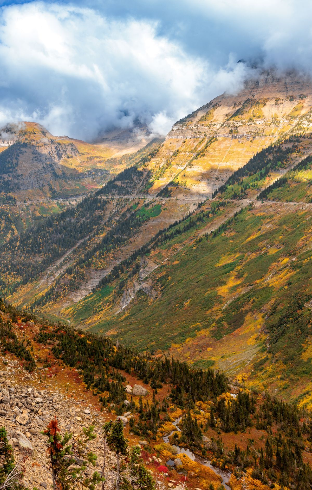 Going-to-the-Sun Road: The Park's Scenic Highway, Glacier National Park