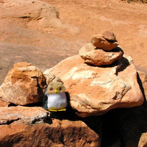 Owl Rock