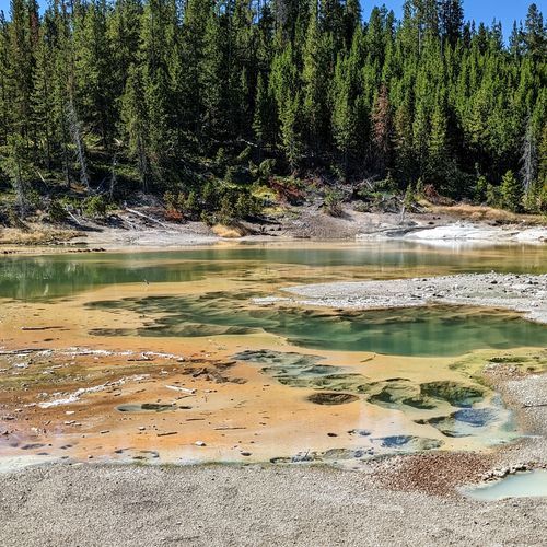 Norris Geyser Basin Overlook