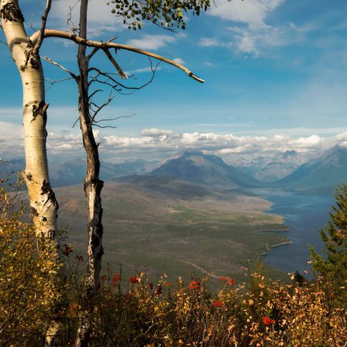 Apgar Lookout