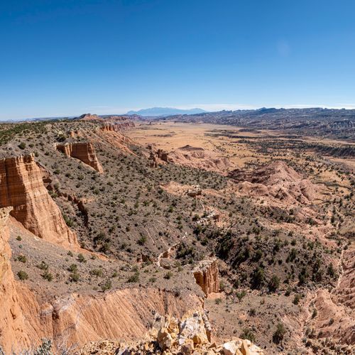 Viewpoint