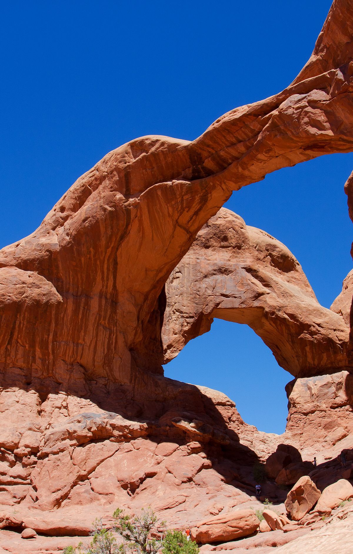 Salt Beds, Fins, and Entrada Sandstone, Arches National Park