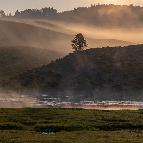 Hayden Valley