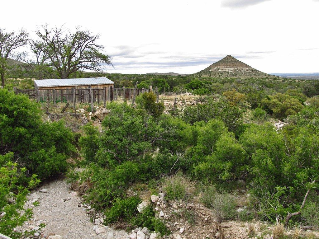 60 Mammals and 16 Bat Species, Guadalupe Mountains National Park