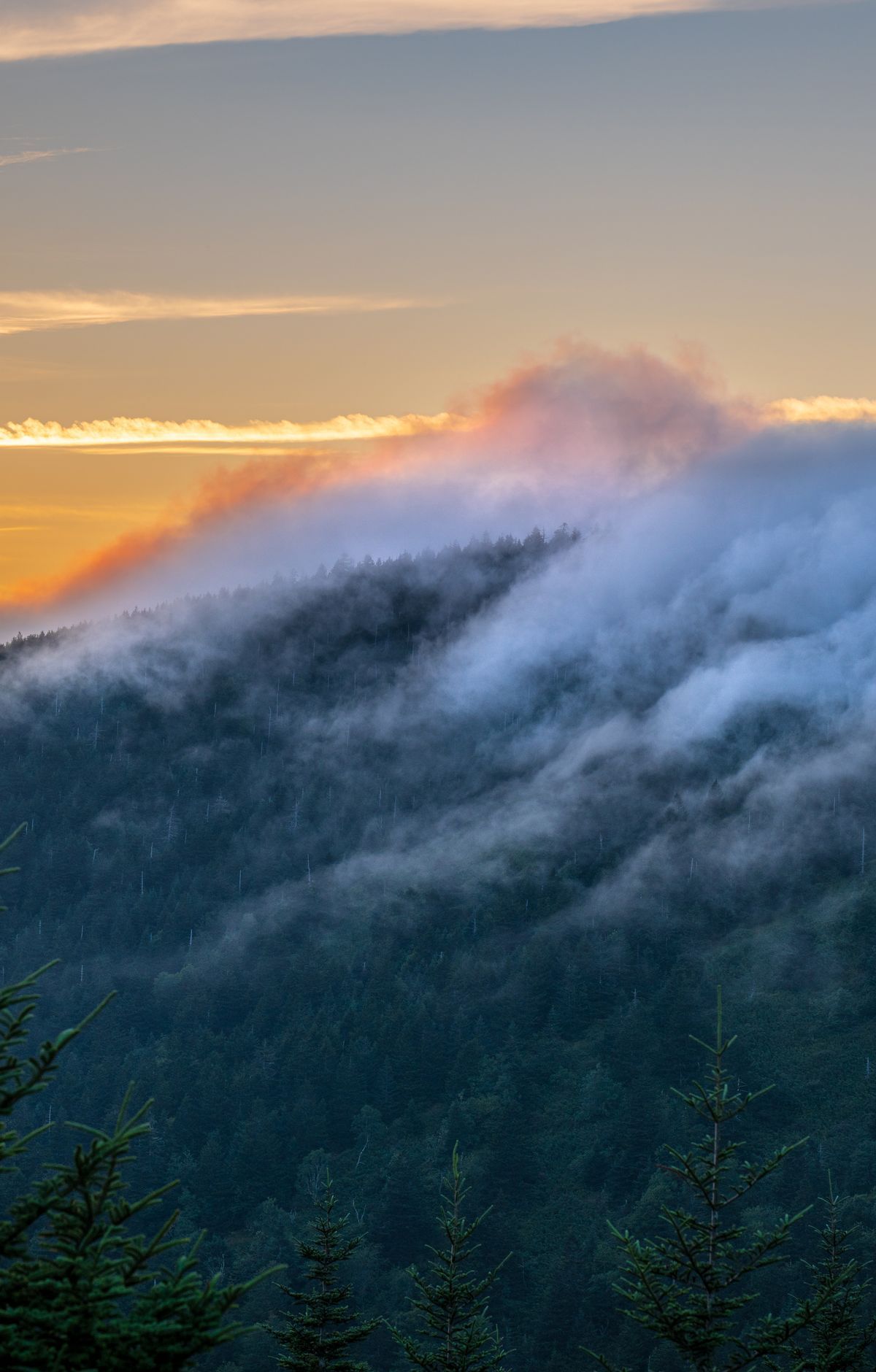 Newfound Gap Road: Gatlinburg to Cherokee, Great Smoky Mountains National Park