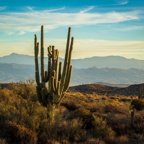 Douglas Spring Trail