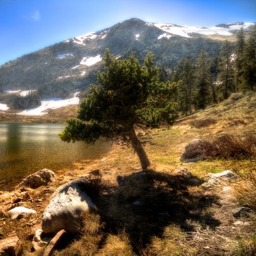 Lion Lake Trail