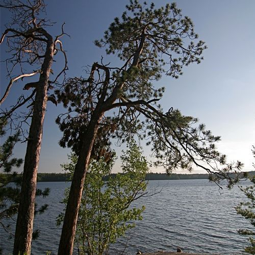 Mukooda Trail