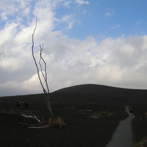 Devastation Trail