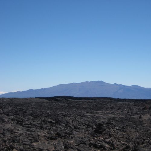 Viewpoint